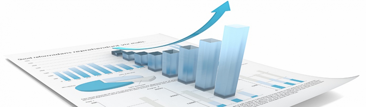 Statistiche Web